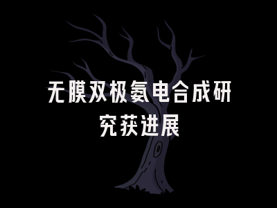 无膜双极氨电合成研究获进展