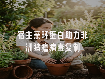 宿主亲环蛋白助力非洲猪瘟病毒复制