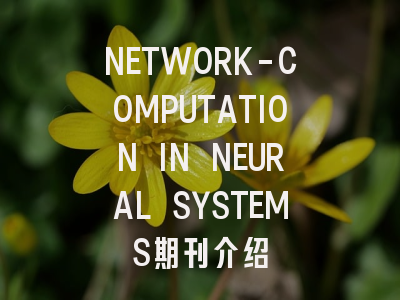 NETWORK-COMPUTATION IN NEURAL SYSTEMS怎么样？一文带你全面了解