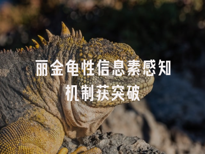 丽金龟性信息素感知机制获突破