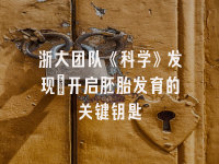 学术会议在线