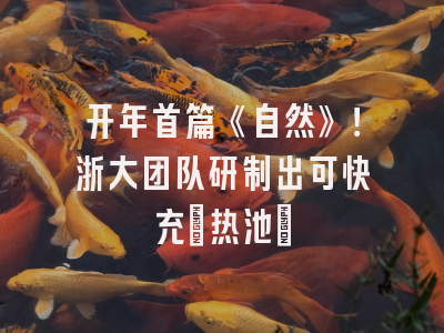 开年首篇《自然》！浙大团队研制出可快充「热池」