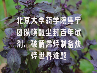 北京大学药学院焦宁团队唤醒尘封百年试剂，破解烯烃制备炔烃世界难题