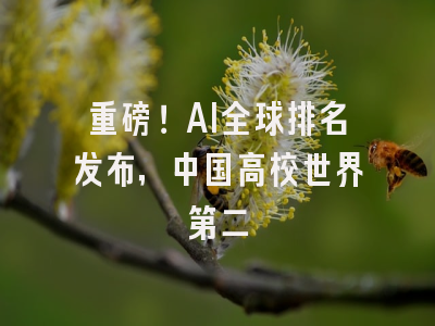 重磅！AI全球排名发布，中国高校世界第二