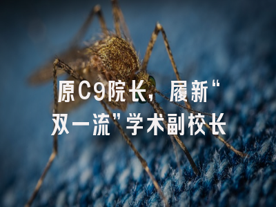 原C9院长，履新“双一流”学术副校长