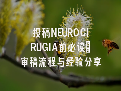 投稿NEUROCIRUGIA前必读：审稿流程与经验分享