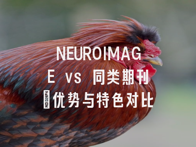 NEUROIMAGE vs 同类期刊：优势与特色对比