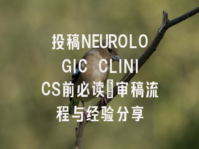 投稿NEUROLOGIC CLINICS前必读：审稿流程与经验分享