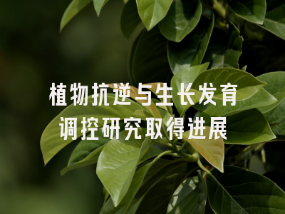 植物抗逆与生长发育调控研究取得进展
