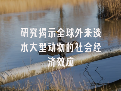 研究揭示全球外来淡水大型动物的社会经济效应