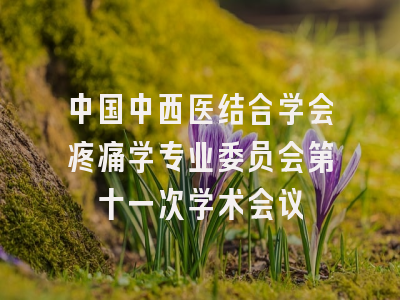 中国中西医结合学会疼痛学专业委员会第十一次学术会议