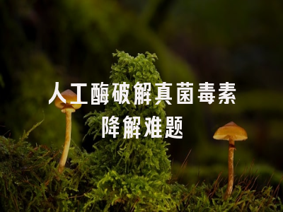 人工酶破解真菌毒素降解难题