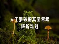 学术会议在线