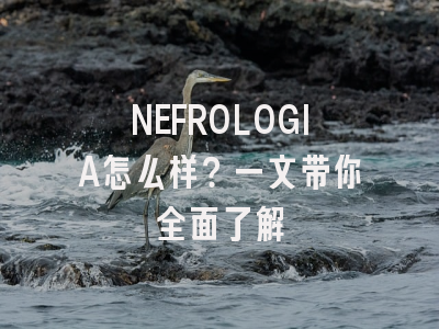NEFROLOGIA怎么样？一文带你全面了解