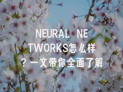NEURAL NETWORKS怎么样？一文带你全面了解