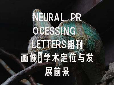 NEURAL PROCESSING LETTERS期刊画像:学术定位与发展前景