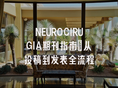 NEUROCIRUGIA期刊指南：从投稿到发表全流程