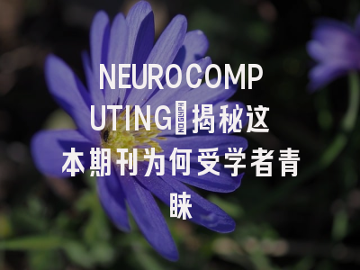 NEUROCOMPUTING：揭秘这本期刊为何受学者青睐