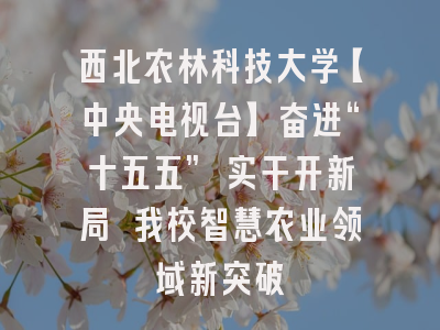 西北农林科技大学【中央电视台】奋进“十五五” 实干开新局 我校智慧农业领域新突破