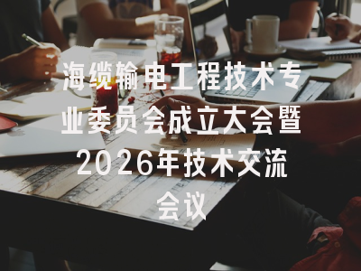 海缆输电工程技术专业委员会成立大会暨2026年技术交流会议