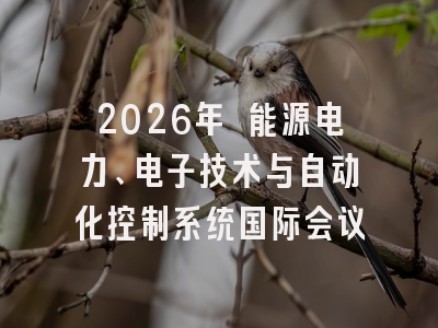 2026年 能源电力、电子技术与自动化控制系统国际会议