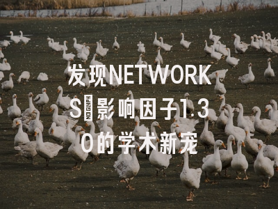 发现NETWORKS：影响因子1.30的学术新宠