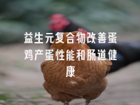 学术会议在线
