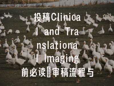 投稿Clinical and Translational Imaging前必读：审稿流程与经验分享