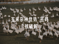 学术会议在线