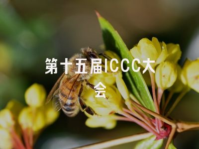 第十五届ICCC大会