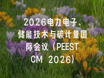2026电力电子、储能技术与碳计量国际会议(PEESTCM 2026)
