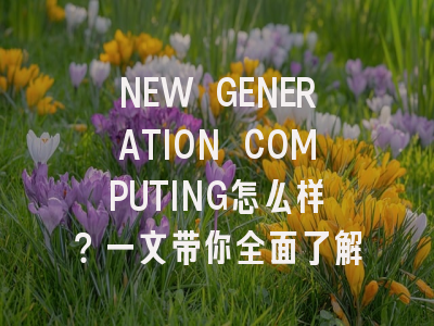 NEW GENERATION COMPUTING怎么样?一文带你全面了解