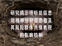 学术会议在线
