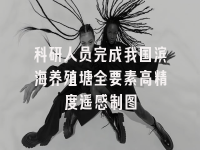 学术会议在线