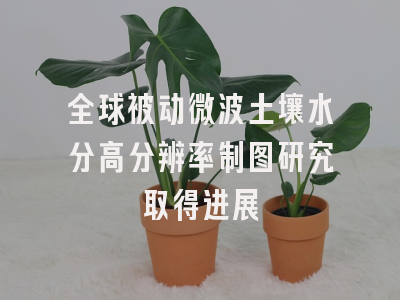 全球被动微波土壤水分高分辨率制图研究取得进展