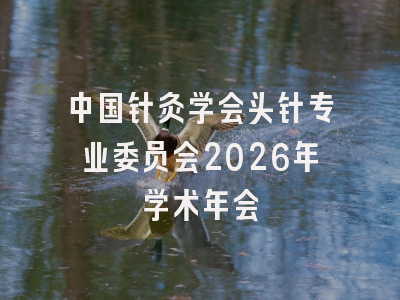 中国针灸学会头针专业委员会2026年学术年会