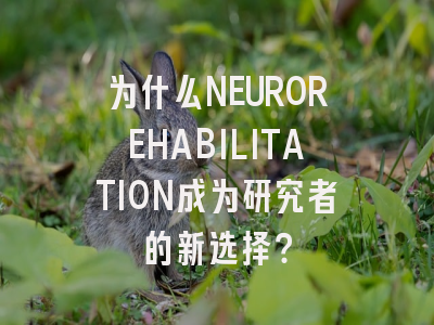 为什么NEUROREHABILITATION成为研究者的新选择？