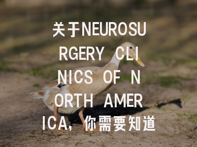 关于NEUROSURGERY CLINICS OF NORTH AMERICA，你需要知道的一切