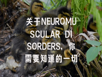 关于NEUROMUSCULAR DISORDERS，你需要知道的一切