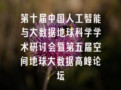 第十届中国人工智能与大数据地球科学学术研讨会暨第五届空间地球大数据高峰论坛