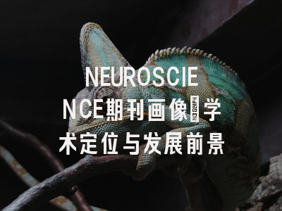 NEUROSCIENCE期刊画像：学术定位与发展前景