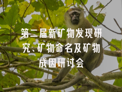 第二届新矿物发现研究、矿物命名及矿物成因研讨会