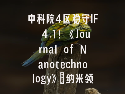中科院4区稳守IF 4.1！《Journal of Nanotechnology》：纳米领域的“高性价比”潜力股深度解析