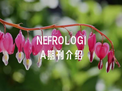 NEFROLOGIA期刊介绍