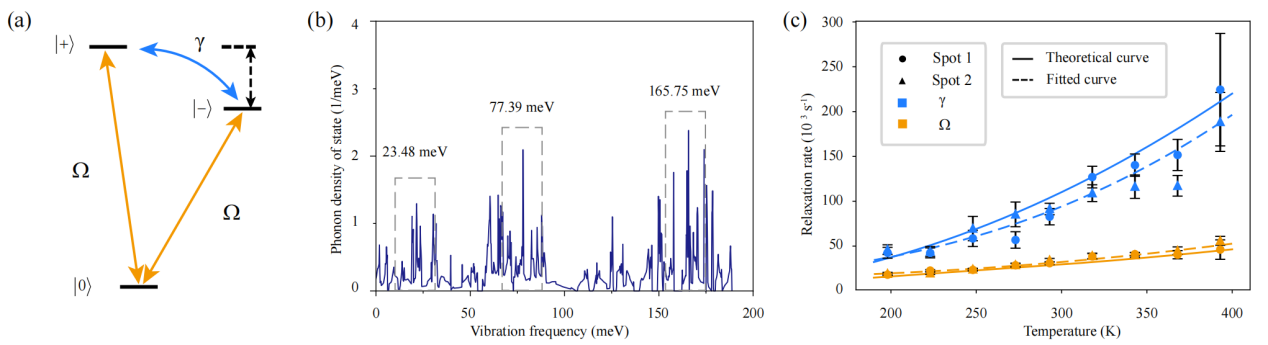 中国科大揭示二维材料hBN中色心自旋弛豫的温度依赖特性