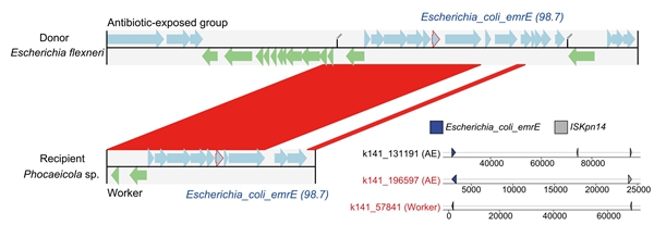 西北农林科技大学(826)资环学院谷洁/钱勋教授团队揭示特种动物圈养繁殖引发的耐药健康风险