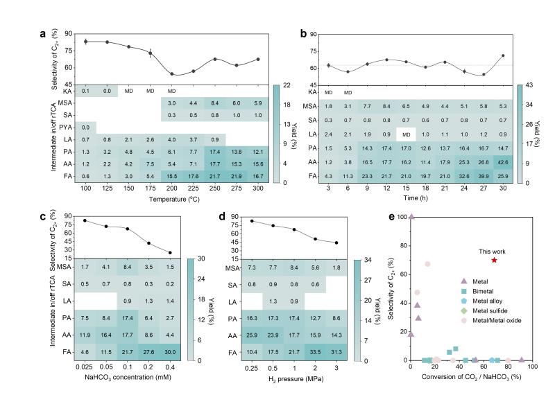 上海交大环境学院金放鸣团队发文报道深海“矿物纳米酶”驱动前生命碳代谢网络构建