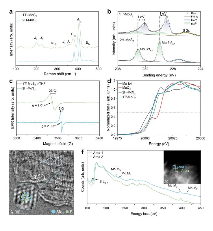 上海交大环境学院金放鸣团队发文报道深海“矿物纳米酶”驱动前生命碳代谢网络构建
