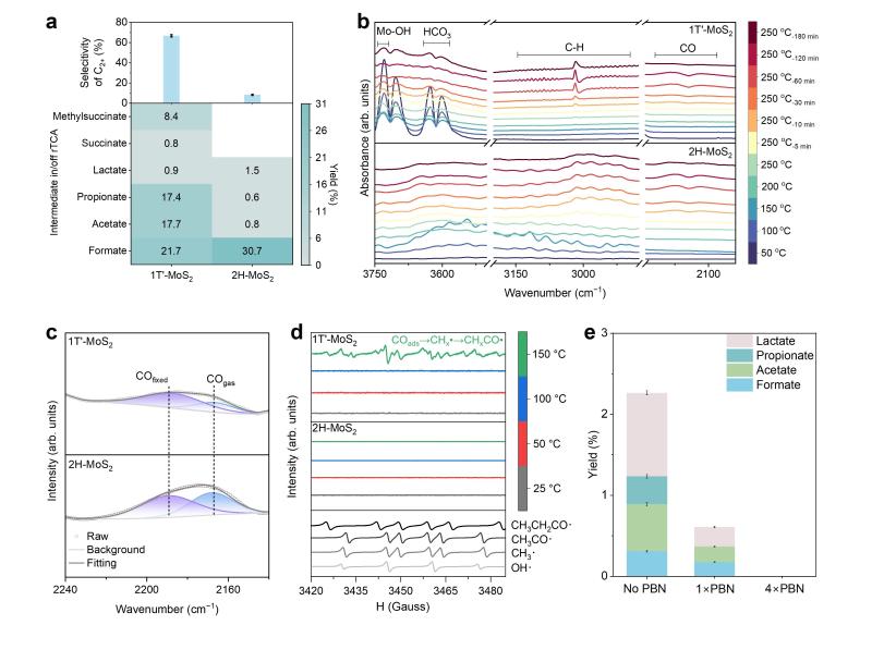 上海交大环境学院金放鸣团队发文报道深海“矿物纳米酶”驱动前生命碳代谢网络构建
