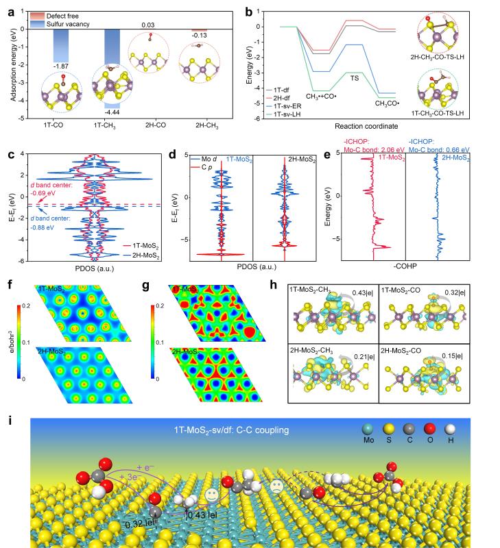上海交大环境学院金放鸣团队发文报道深海“矿物纳米酶”驱动前生命碳代谢网络构建